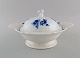 item no:
480246 item no:
480246