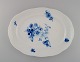 item no:
480247 item no:
480247