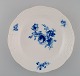 item no:
480248 item no:
480248