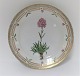 Royal Copenhagen, Flora Danica. Frokost tallerken. Design #623 (3572). Diameter 22 cm. (1 sortering). Lychnis alpina L