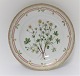 Royal Copenhagen, Flora Danica. Middags tallerken. Design #3549. Diameter 25 cm. (1 sortering). Potentilla verna L