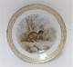 Royal Copenhagen. Fauna Danica. Jagtstel.  Frokost tallerken. Model # 239 - 3550. Diameter 22 cm. (1 sortering). Mustela zibellina. Tallerken er med reparation. (se foto)