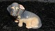 Royal copenhagen Royal Copenhagen figure, DachshundDek.nr. 31401st sortingHeight 8 cm.