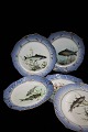 Royal Copenhagen middagstallerkener i fiskestel , Dia.:24cm. Dekorations nummer : 3002. 2.sort. Har blåmalet fiskebort med guldkant og dekorationer og er hver håndmalet (Privatmaler)...