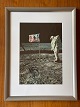Originalt NASA farveoffsetfotografi / fotoprint fra af Edwin "Buzz" Aldrin under Apollo-11 månemissionen i 1969