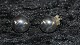 Elegant # Earrings in SilverStamped 925s HS
