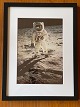 Originalt NASA farveoffsetfotografi / fotoprint fra af Edwin "Buzz" Aldrin under Apollo-11 månemissionen i 1969. Astronaut Neil Armstrong spejles i Aldrins visir