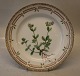 20-3550 "Cerastium viscosum L. (G. ovale Pers.)". Luncheon Plate New # 622 8.75"(Dated 1969-74) Flora Danica Danish Porcelain