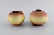 item no:
497655 item no:
497655