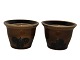 Stavangerflint SeraEgg cup