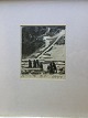emne nr:
498459