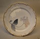 Art nouveau  4 stk Gamle Kongelig Dansk porcelæns tallerkener 22.5 cm med guldkant