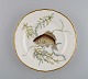 item no:
501790 item no:
501790