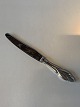 Dinner knife #Universal SilverLength 25 cm approx