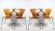 Sæt af 8 Syver stole, model 3107, teak, Arne Jacobsen, Fritz Hansen, 1950