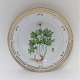 Royal Copenhagen. Flora Danica. Rundt fad. Model # 376 (3523). Diameter 30 cm. ( 1 sortering ). Anemone silvestris L