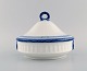 item no:
505810 item no:
505810