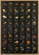 Wegner plakat fraModernity