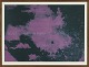 Anette Harboe FlensburgLithography