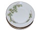 Beech LeavesExtra small soup plate 19.5 cm.