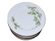 Beech LeavesDinner plate 23.5 cm.