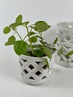 Gunnar Nylund for Rørstrand, set of three Swedish off-white chamotte herb pots