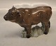 0802 Kgl. Okse 10 x 16 cm Kinesisk Stjernetegn Oksens År 2019 Pia Langelund Kongelig Dansk