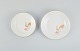 item no:
519126 item no:
519126