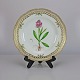 RC tallerken3553Flora Danica