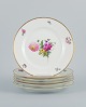 item no:
523352 item no:
523352