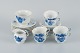 item no:
524127 item no:
524127