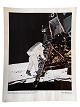 Originalt NASA farveoffsetfotografi fra Apollo 11 månelandingen i juli 1969.