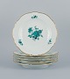 item no:
525855 item no:
525855