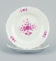 item no:
529229 item no:
529229