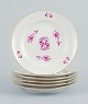 item no:
529239 item no:
529239