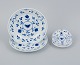 item no:
530720 item no:
530720