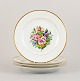 item no:
533947 item no:
533947