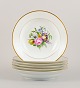 item no:
533948 item no:
533948