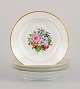 item no:
533950 item no:
533950