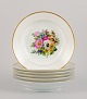 item no:
533952 item no:
533952