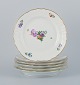 emne nr: 536906