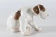 Bing & GrøndahlLauritz JensenPointer hundehvalp Nr. 2060