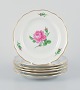 item no:
537337 item no:
537337