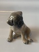 Royal Copenhagen, Moppe puppyDec. no. 3169