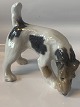 Royal Copenhagen figure - Fox TerrierDeck no. 3020