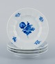 item no:
542083 item no:
542083