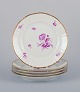 item no:
543740 item no:
543740