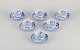 item no:
543982 item no:
543982