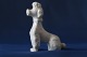 Hvid porcelænsfigur af kongepuddel, siddende. Flot og velholdt stand, et smukt samlerobjekt.