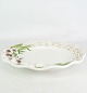 Porcelain plates - Decorated with garlic - Italian Design